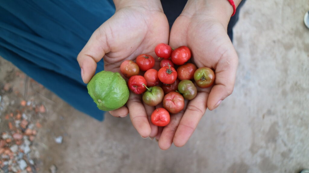 小さなフルーツ